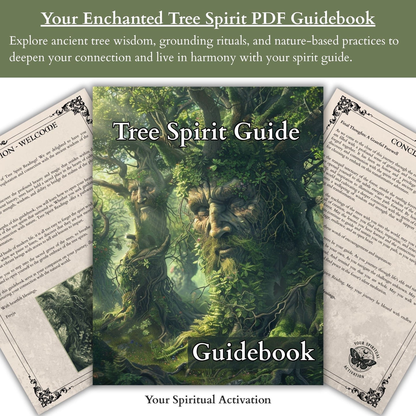 Comprehensive tree spirit guidebook in PDF format offering folklore, rituals, meditations, and grounding practices to deepen your connection to your tree guide.