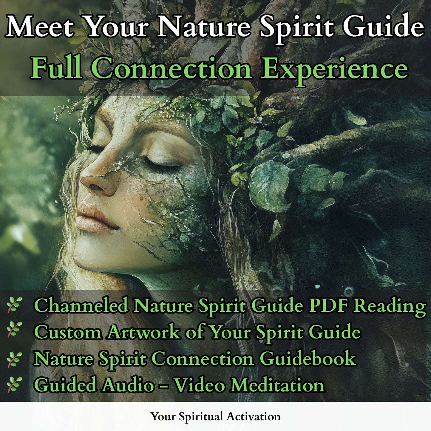 Nature spirit guide reading for spiritual grounding and intuitive connection – Discover your personal earth-based guide through a channeled reading designed to enhance your spiritual journey and reconnect you with nature’s wisdom.